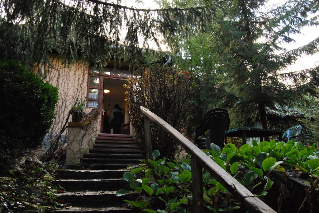 Boróka Apartmanházak - Öregház Velem Habitación foto