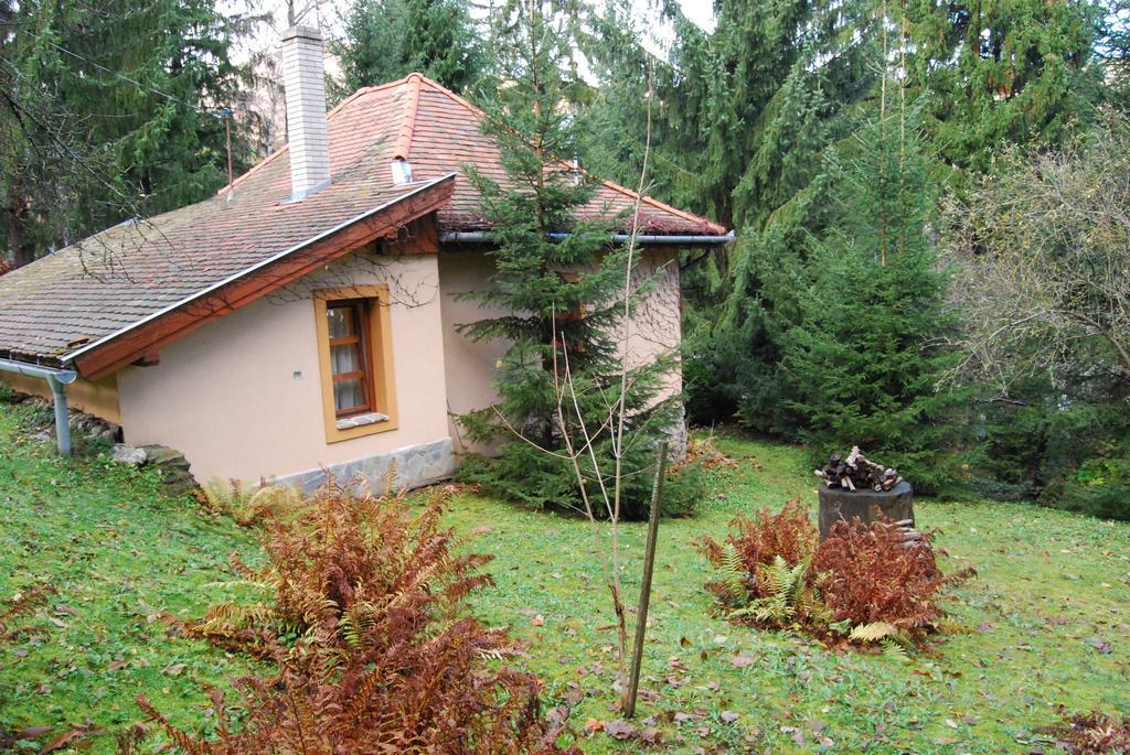 Boróka Apartmanházak - Öregház Velem Habitación foto